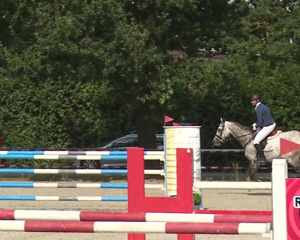 Reitturnier Rot am See- Musdorf 2019