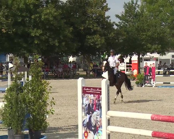 Reitturnier Rot am See- Musdorf 2019