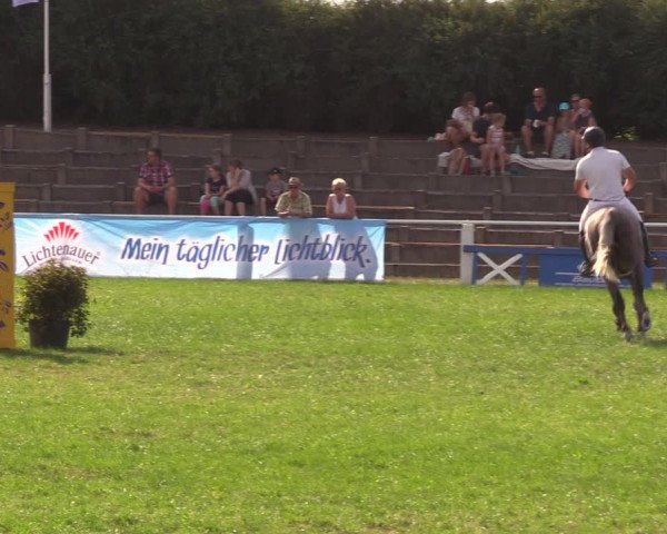 Reitturnier Baschütz bei Bautzen 2019