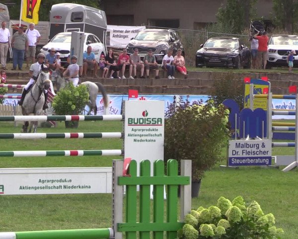 Reitturnier Baschütz bei Bautzen 2019