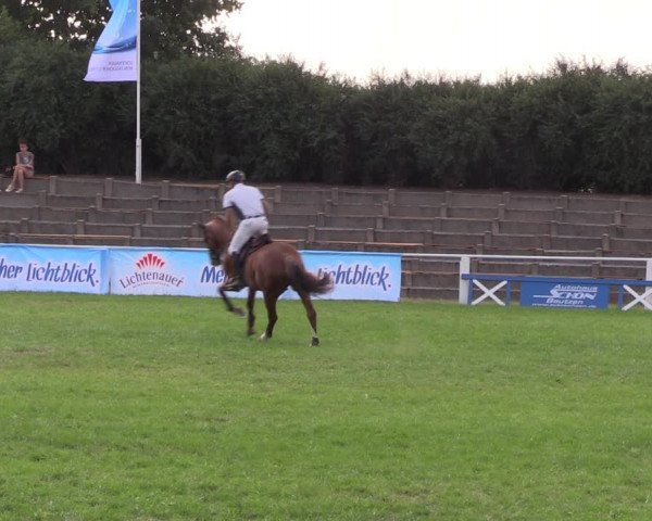 Reitturnier Baschütz bei Bautzen 2019