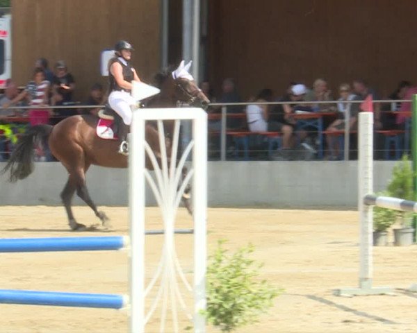 Reitturnier Schwyz 2019