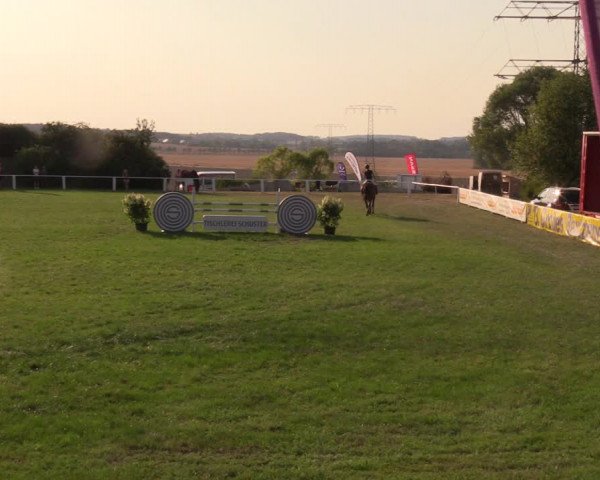 Reitturnier Baschütz bei Bautzen 2019