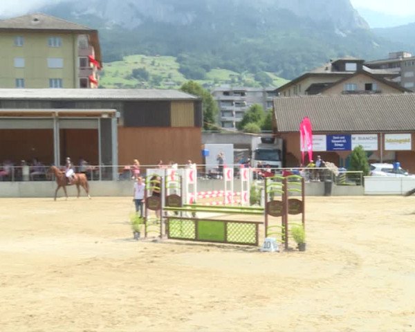 Reitturnier Schwyz 2019