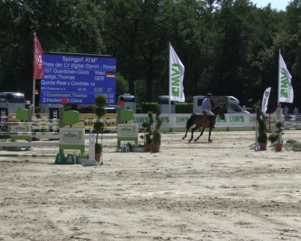 Reitturnier Münster-Handorf 2019