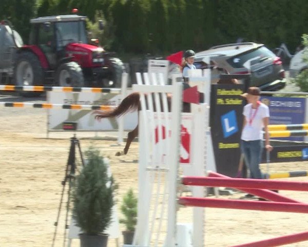 Reitturnier Schwyz 2019