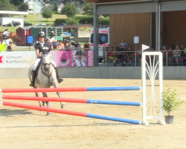 Reitturnier Schwyz 2019