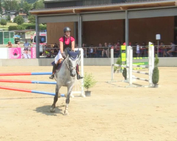 Reitturnier Schwyz 2019