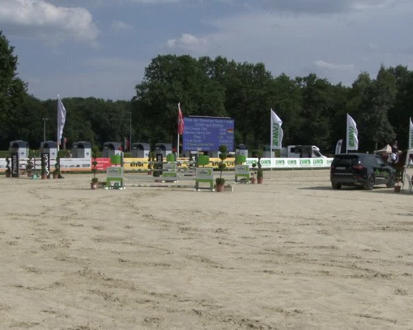 Reitturnier Münster-Handorf 2019