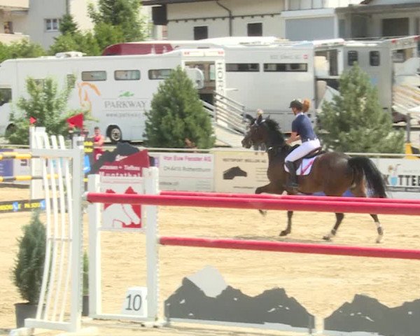 Reitturnier Schwyz 2019