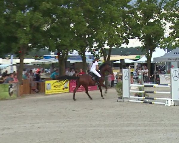Reitturnier Rot am See- Musdorf 2019
