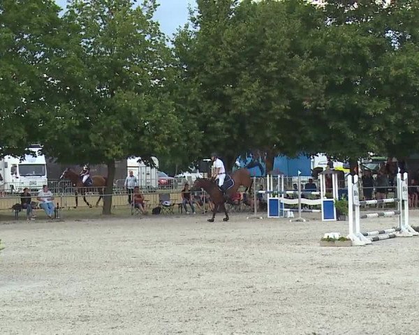 Reitturnier Rot am See- Musdorf 2019