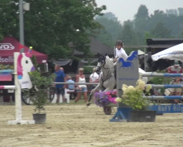 Reitturnier Neuss-Allerheiligen 2019