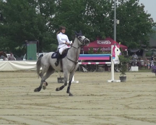 Reitturnier Neuss-Allerheiligen 2019