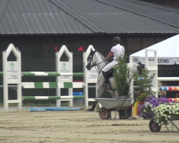 Reitturnier Neuss-Allerheiligen 2019