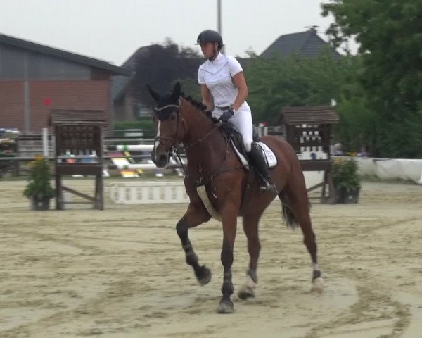 Reitturnier Neuss-Allerheiligen 2019