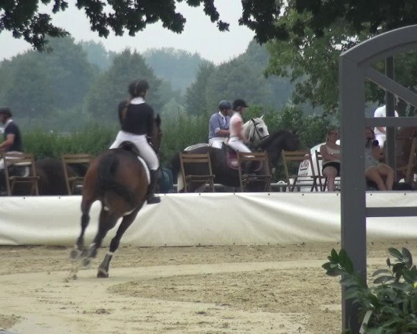 Reitturnier Neuss-Allerheiligen 2019