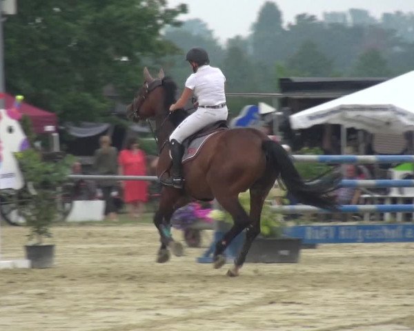Reitturnier Neuss-Allerheiligen 2019
