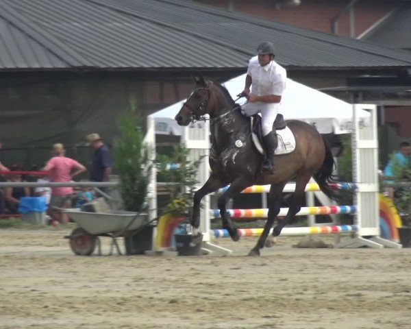 Reitturnier Neuss-Allerheiligen 2019