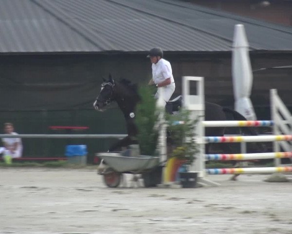 Reitturnier Neuss-Allerheiligen 2019