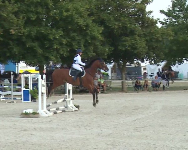 Reitturnier Rot am See- Musdorf 2019