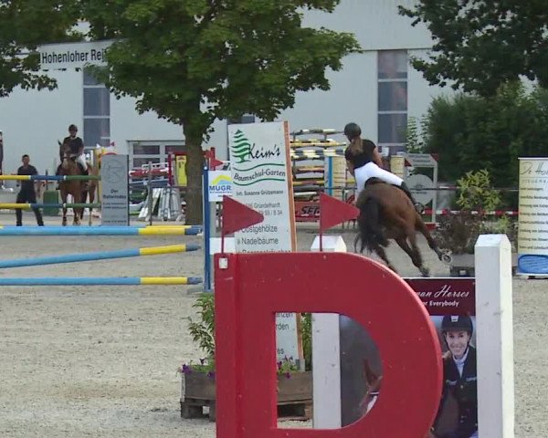 Reitturnier Rot am See- Musdorf 2019
