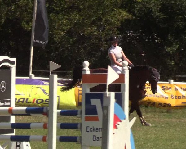 Reitturnier Felmerholz 2019