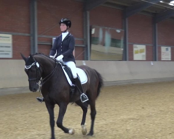 Reitturnier Neuss-Allerheiligen 2019