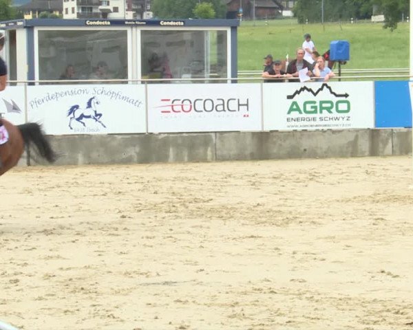 Reitturnier Schwyz 2019