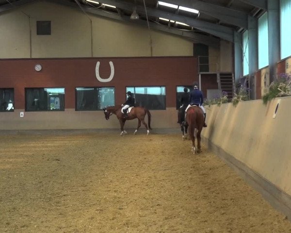 Reitturnier Neuss-Allerheiligen 2019