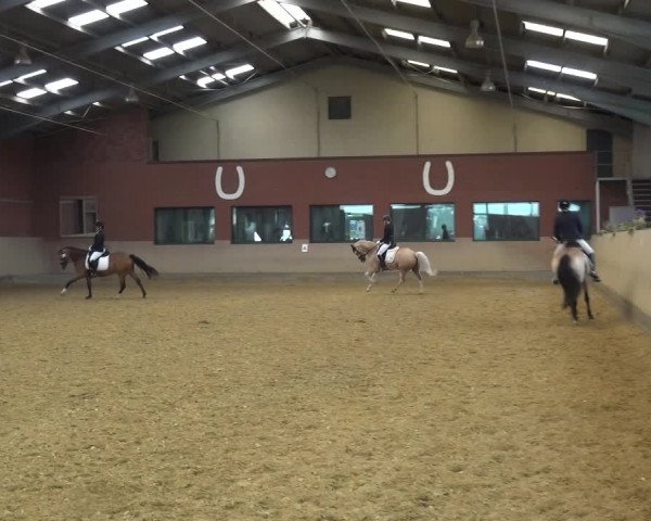 Reitturnier Neuss-Allerheiligen 2019
