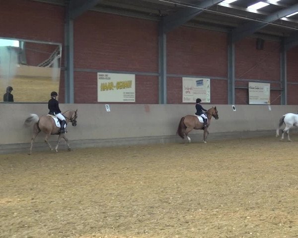 Reitturnier Neuss-Allerheiligen 2019