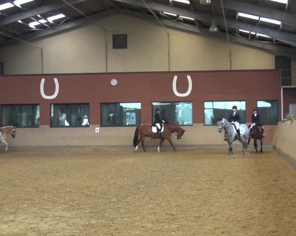 Reitturnier Neuss-Allerheiligen 2019