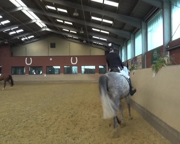 Reitturnier Neuss-Allerheiligen 2019