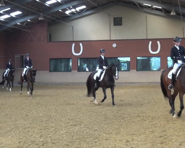 Reitturnier Neuss-Allerheiligen 2019