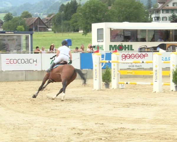 Reitturnier Schwyz 2019
