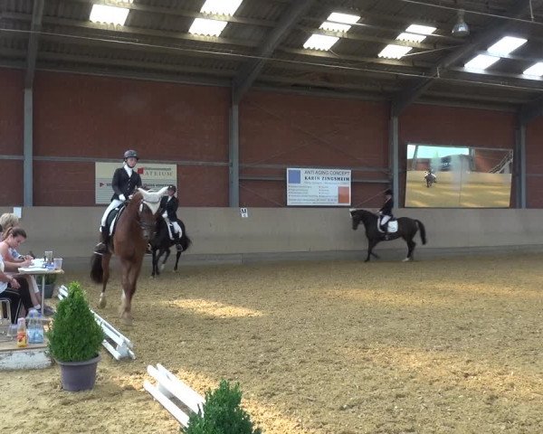 Reitturnier Neuss-Allerheiligen 2019