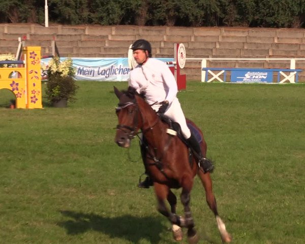 Reitturnier Baschütz bei Bautzen 2019