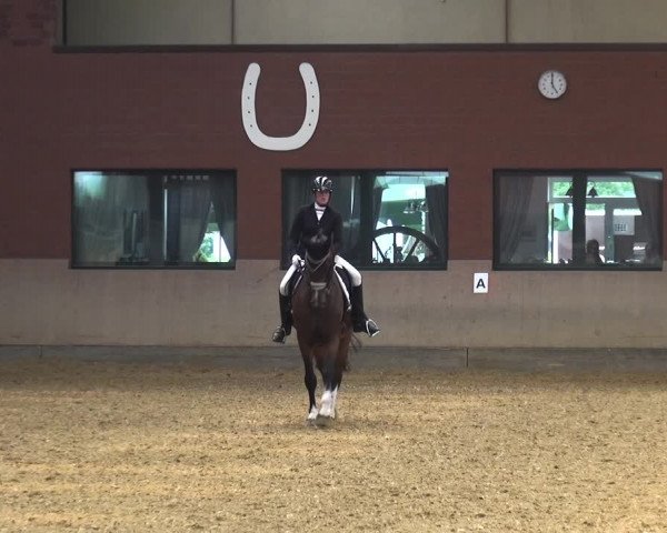 Reitturnier Neuss-Allerheiligen 2019