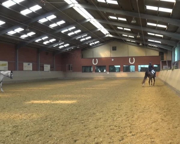 Reitturnier Neuss-Allerheiligen 2019