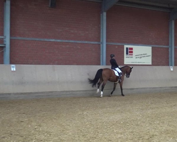 Reitturnier Neuss-Allerheiligen 2019