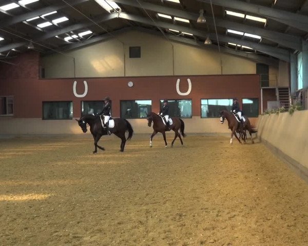 Reitturnier Neuss-Allerheiligen 2019