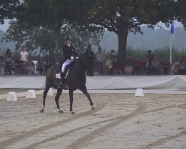 Reitturnier Neuss-Allerheiligen 2019