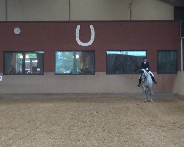 Reitturnier Neuss-Allerheiligen 2019