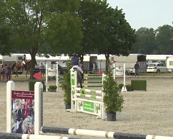 Reitturnier Rot am See- Musdorf 2019