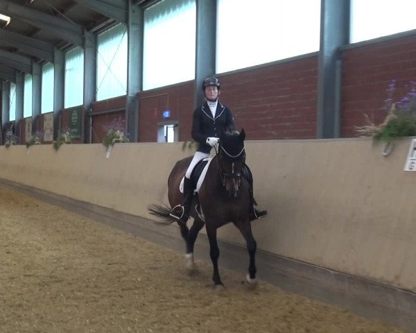 Reitturnier Neuss-Allerheiligen 2019