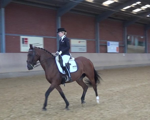 Reitturnier Neuss-Allerheiligen 2019
