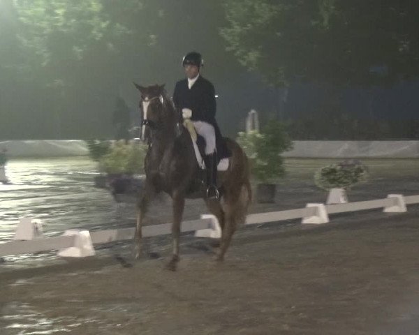 Reitturnier Neuss-Allerheiligen 2019
