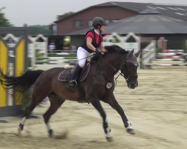 Reitturnier Neuss-Allerheiligen 2019