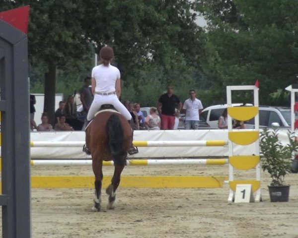 Reitturnier Neuss-Allerheiligen 2019